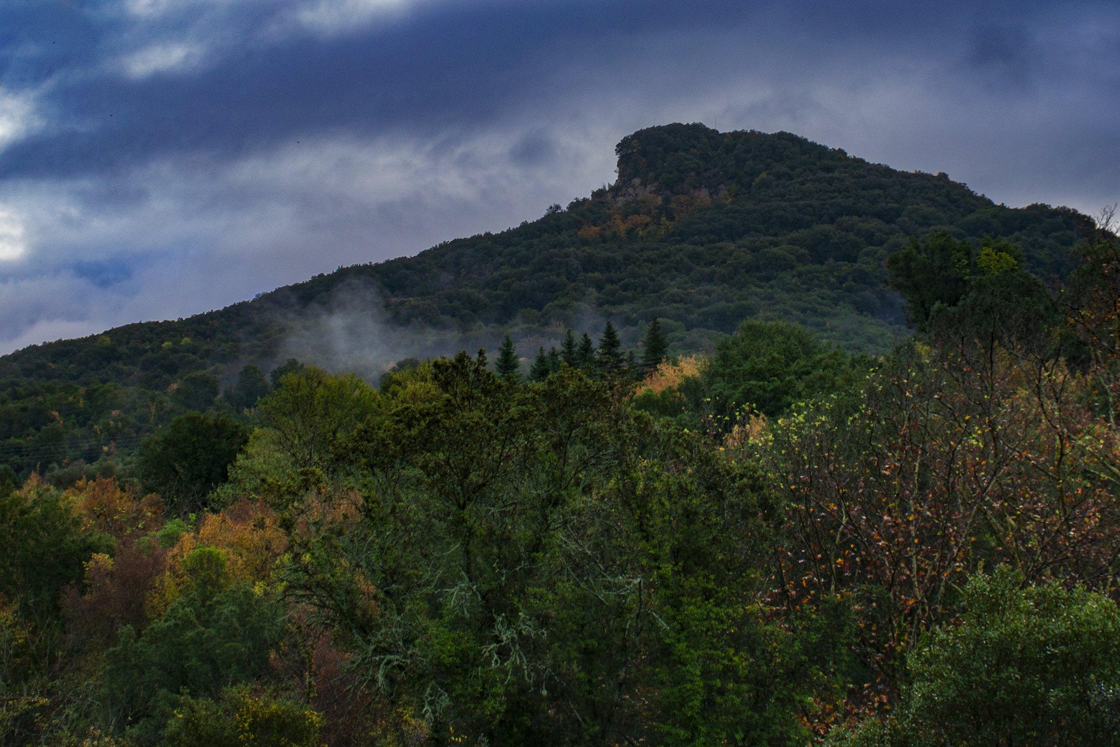 Forested hillside and mountain edge after rain