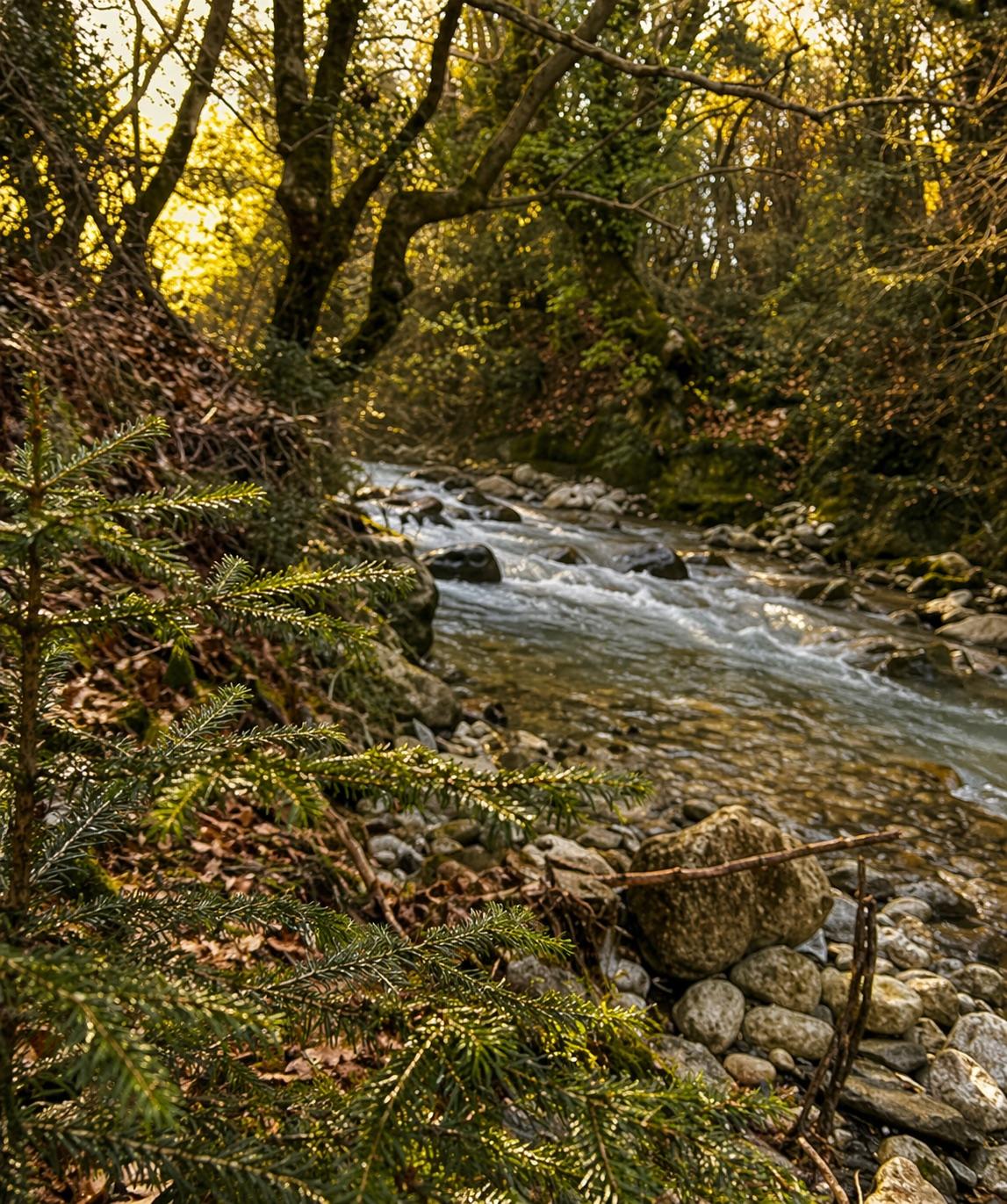 River Living Lab