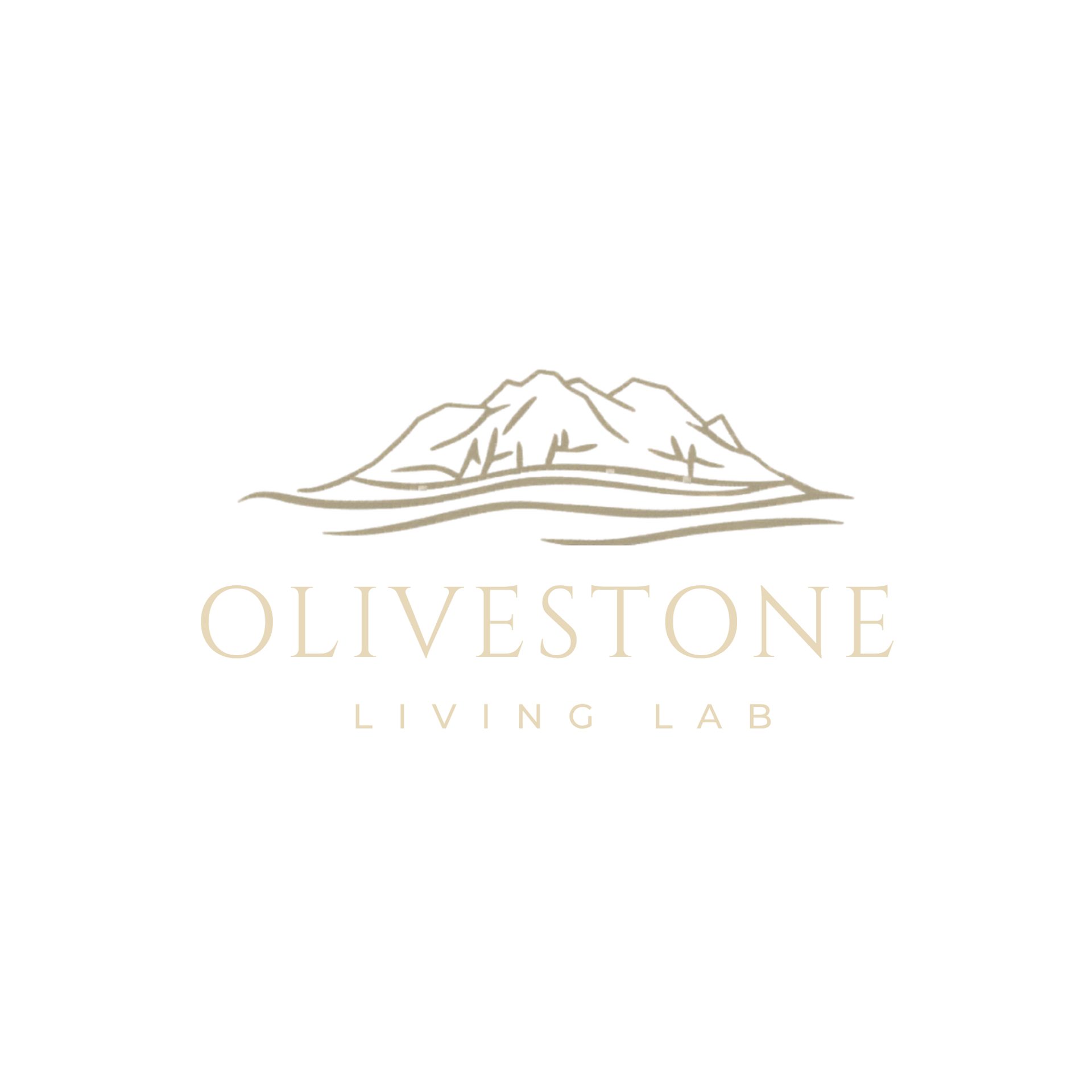 Olivestone Living Lab logo
