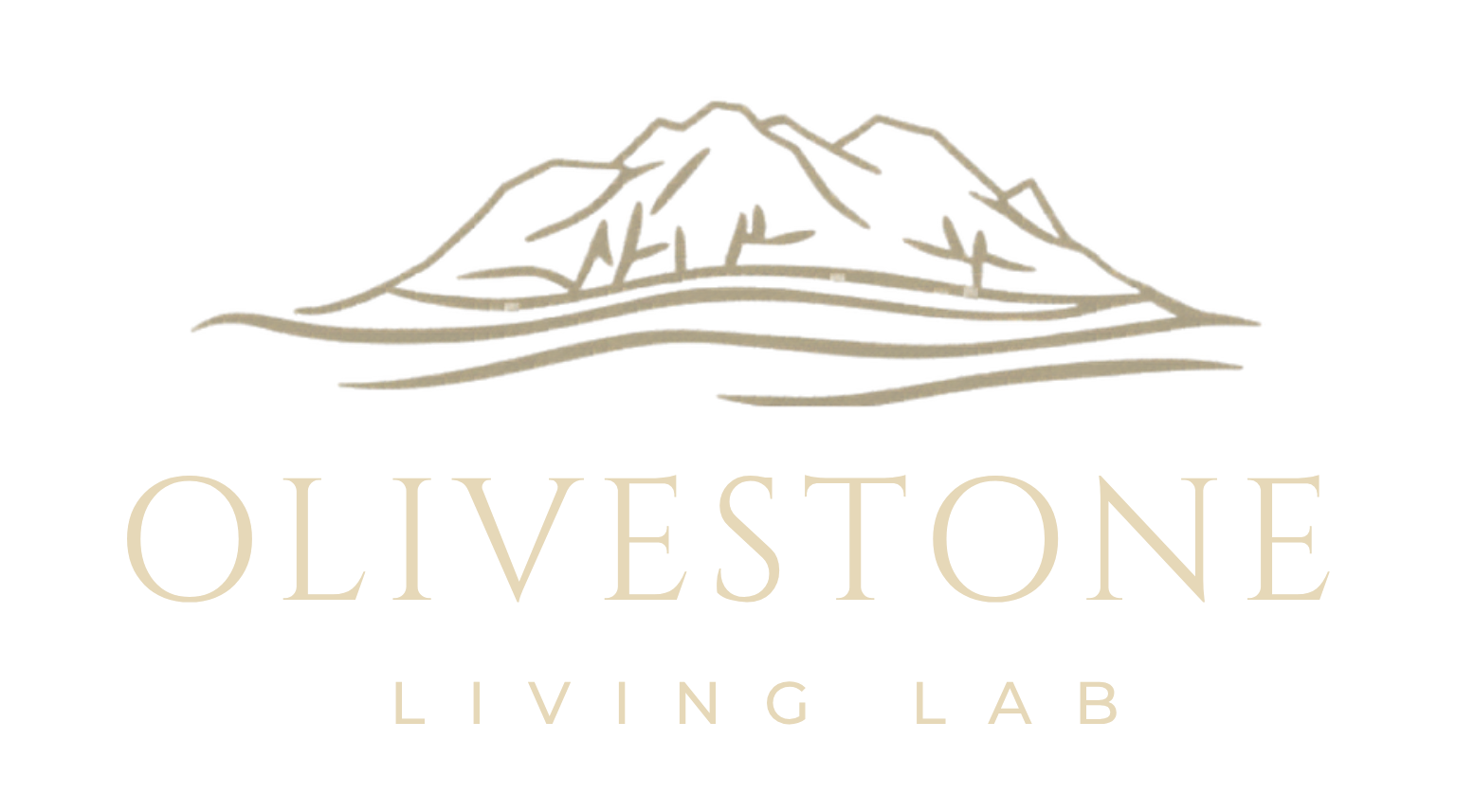 Olivestone Living Lab