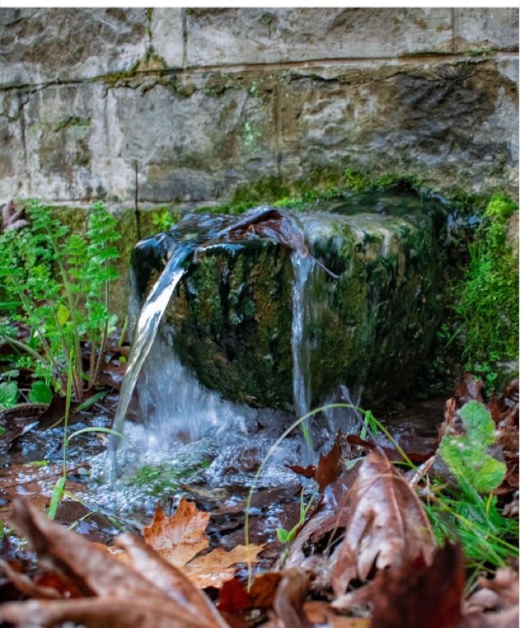 Water detail from the Palaiokatouno heritage landscape